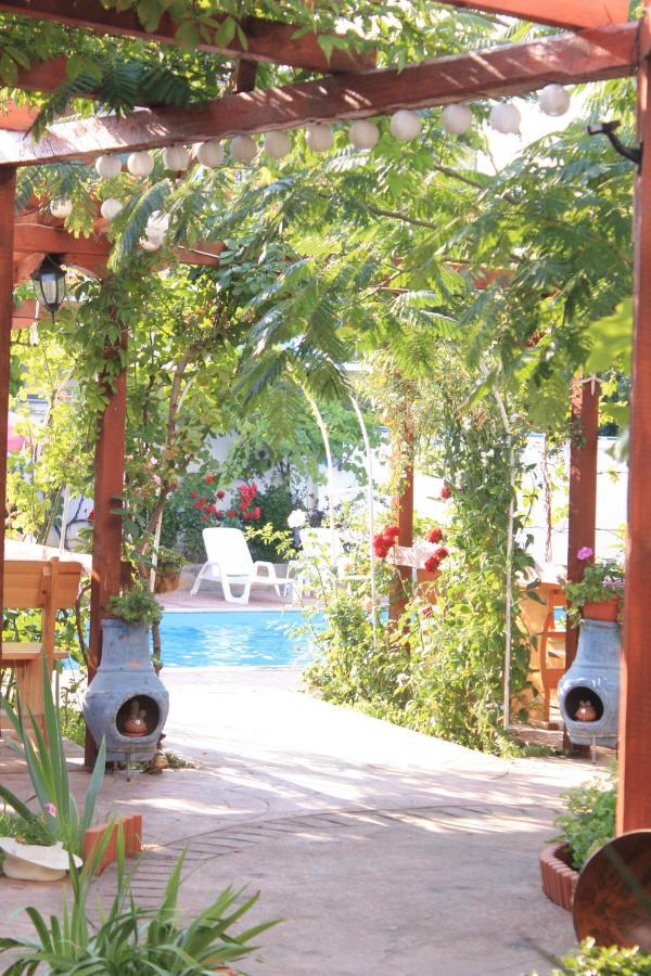 פרימורסקו Alba Family Club Hotel מראה חיצוני תמונה