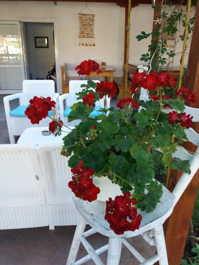 פרימורסקו Alba Family Club Hotel מראה חיצוני תמונה