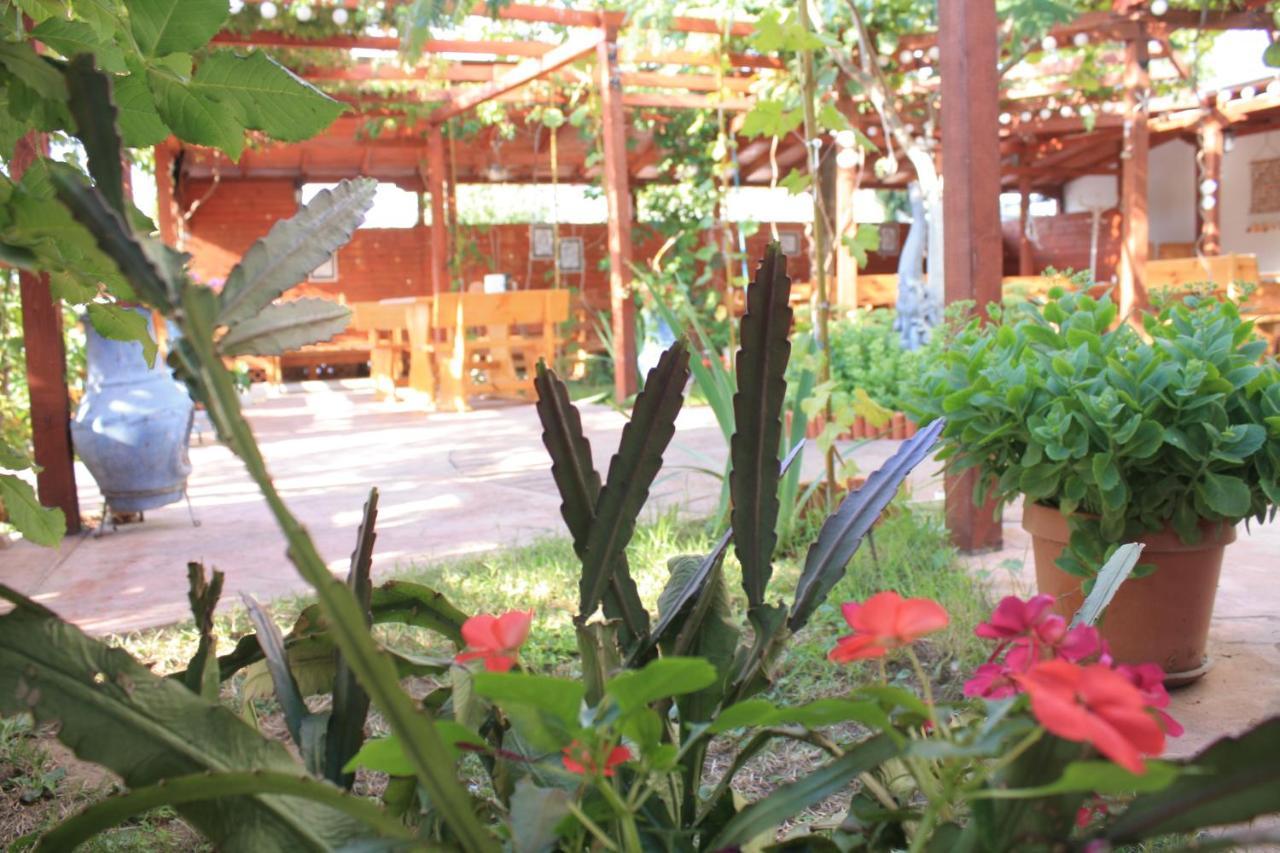 פרימורסקו Alba Family Club Hotel מראה חיצוני תמונה
